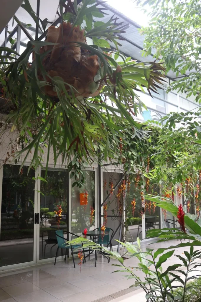 Covered interior courtyard with hanging plants and glass walls at Candó Living, San José